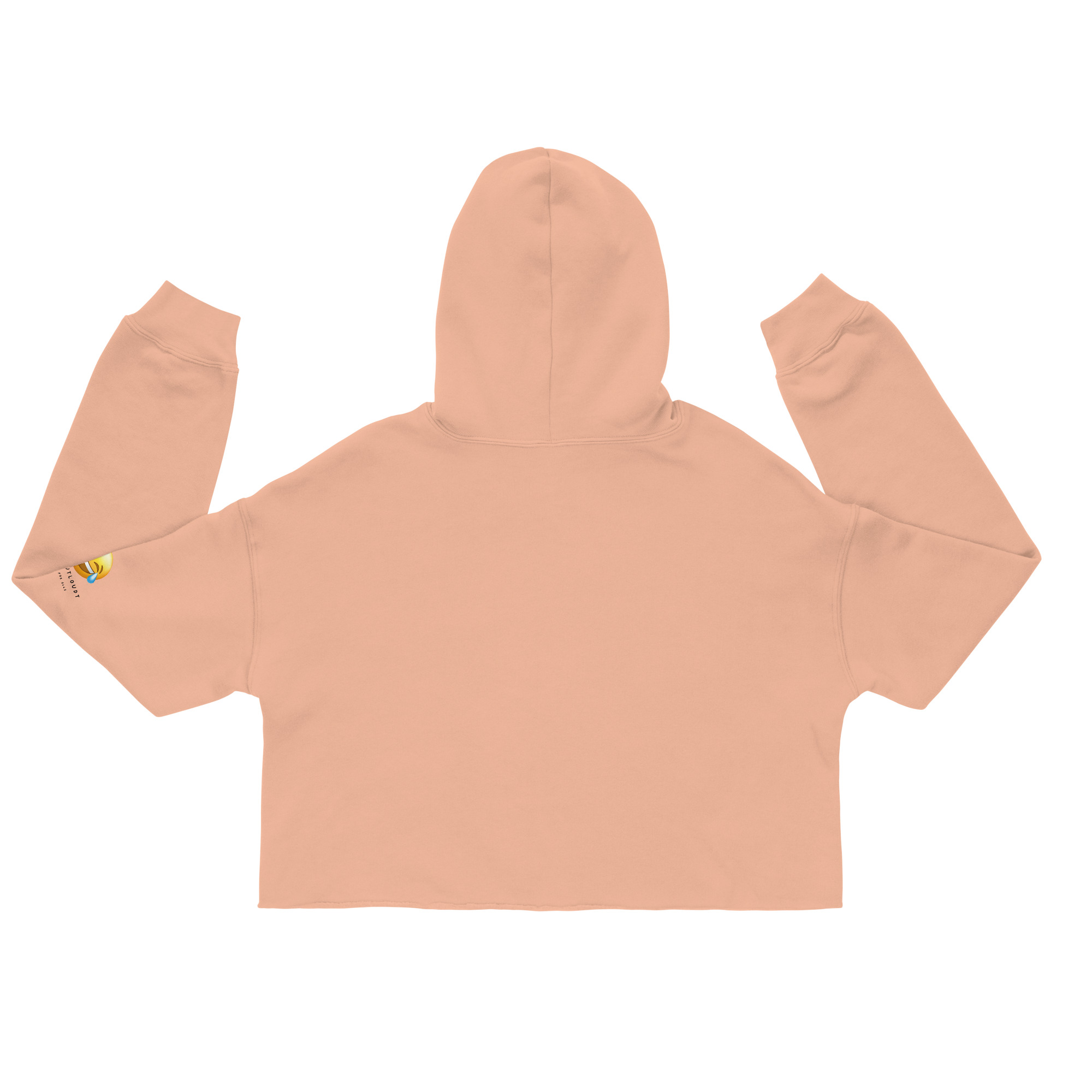 womens-cropped-hoodie-peach-back-6888e68dda05b.jpg