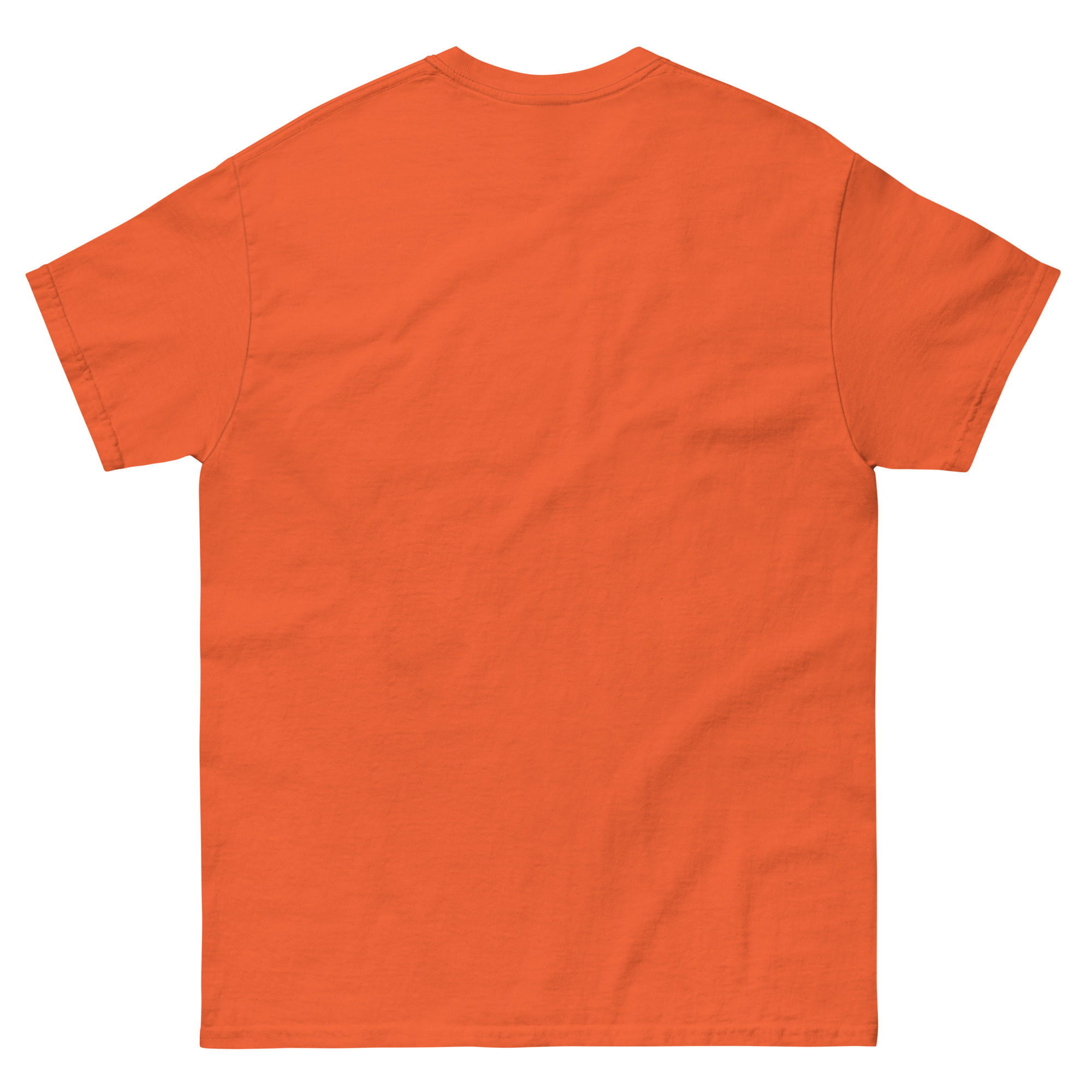 unisex-classic-tee-orange-back-68978b1573c3b.jpg
